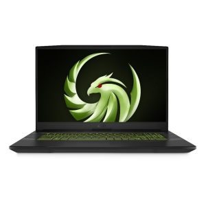 Msi Alpha 15 B5eek 212xtr Ryzen 7 5800h 16gb Ram 1tb Ssd 8gb Rx 6600m Notebook
