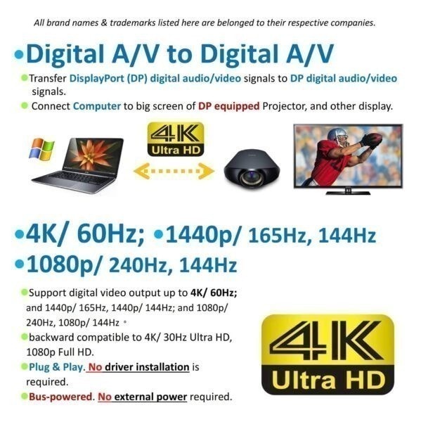 Paugge ENTDP1218 VESA SERTİFİKALI Display Port 1.2V KABLO h1