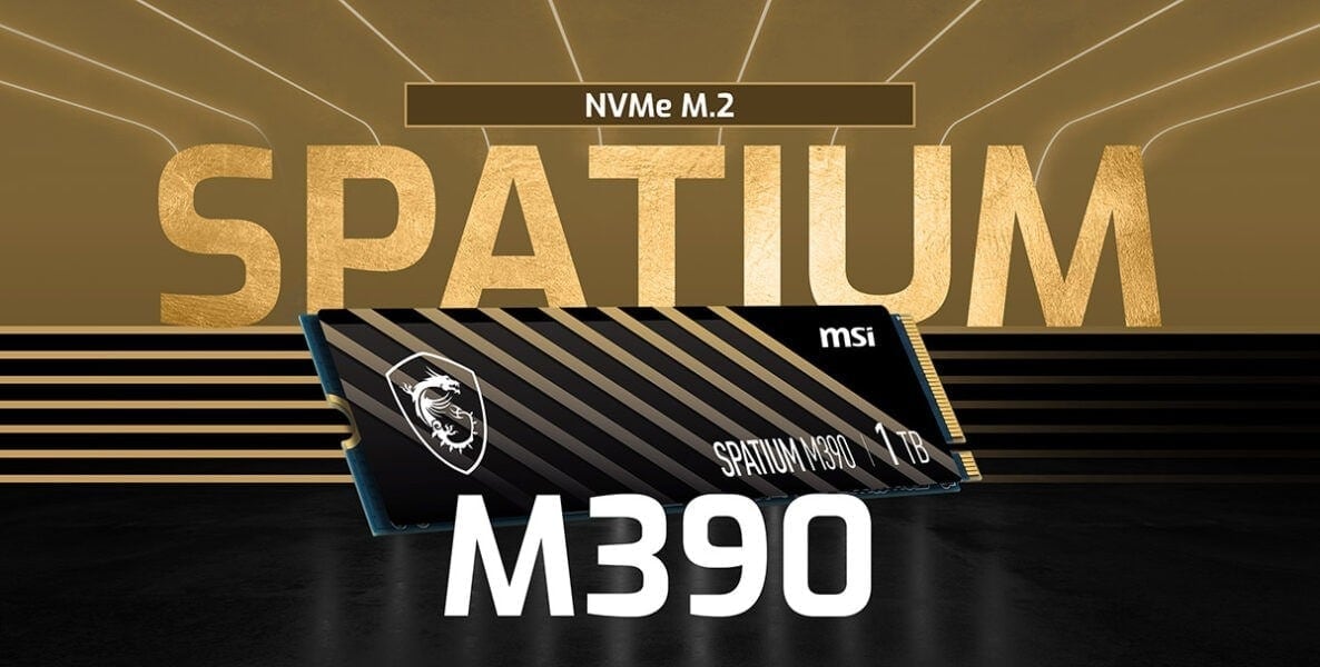 MSI 1TB SPATIUM M390 NVME M.2 SSD 3300MB Okuma / 3000MB Yazma h1