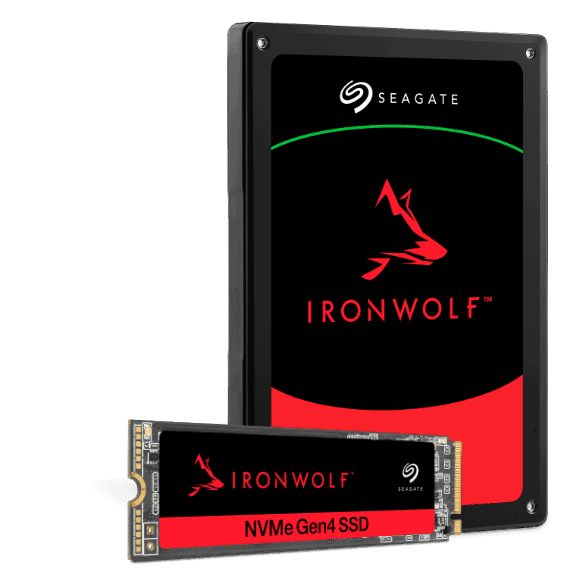Seagate 960GB IronWolf 510 NVMe SSD Okuma 3150MB / Yazma 1000MB h1