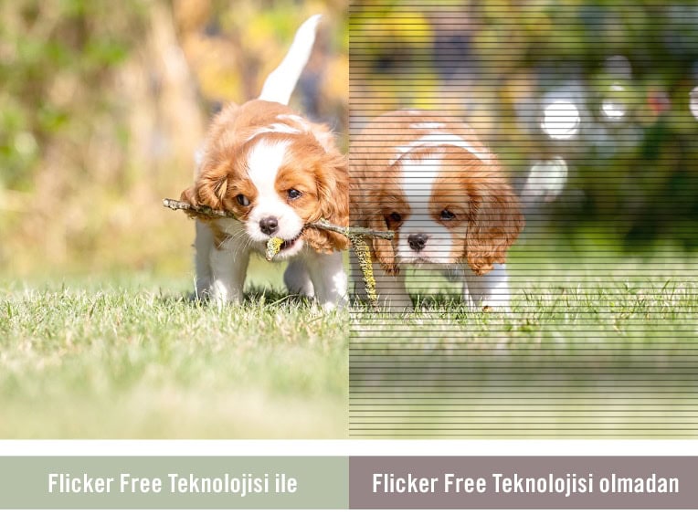 ASUS VY279HE-W Monitör H12