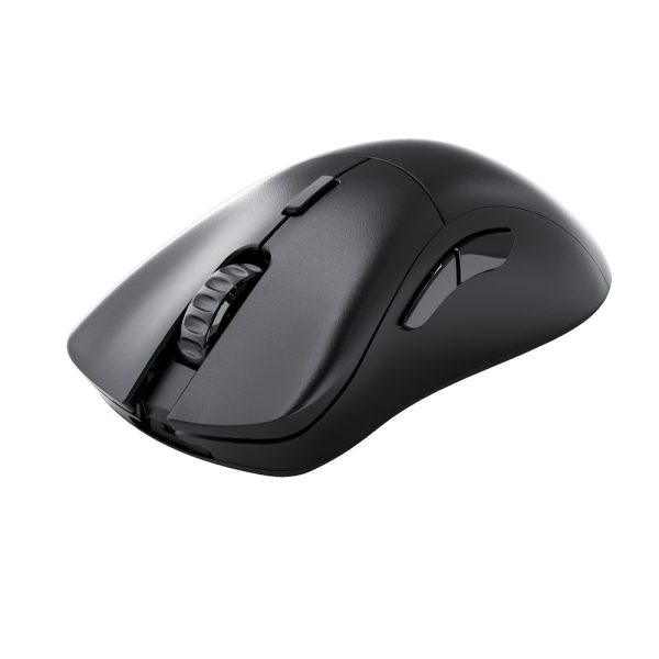 Glorious Model D 2 Pro 1k Polling Siyah Kablosuz Rgb Oyuncu Mouse 1