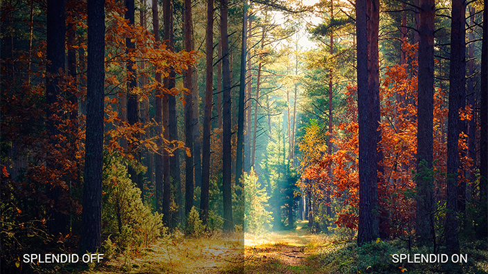 ASUS VA229QSB Monitör h12