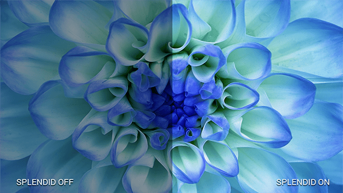 ASUS VA229QSB Monitör h13