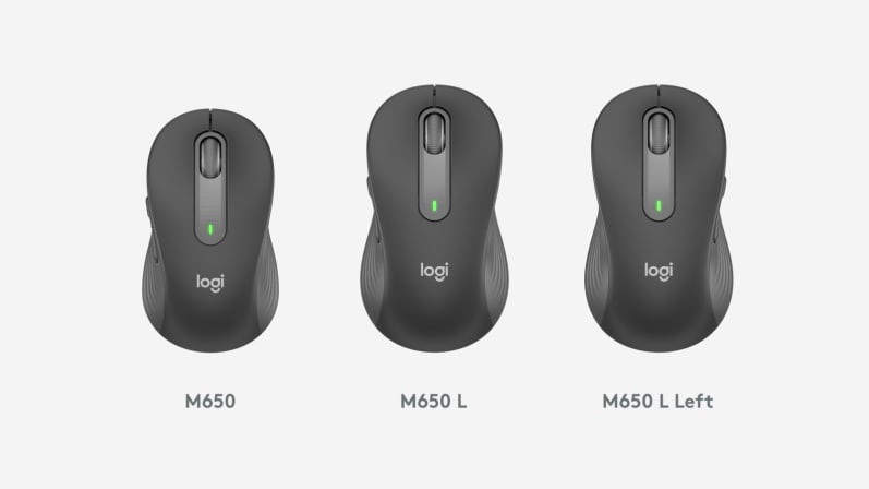 https://www.laptop.com.tr/wp-content/uploads/2024/10/logitech-signature-m650-l-buyuk-boy-sol-el-kablosuz-beyaz-mouse-910-006240-413422.jpg
