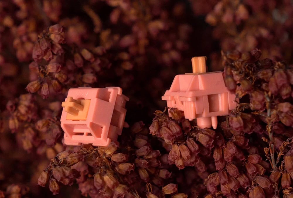 Akko Rosewood 5pin (45 Adet) Linear Switch H3