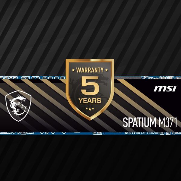 MSI SPATIUM M371 1TB M.2 SSD h5