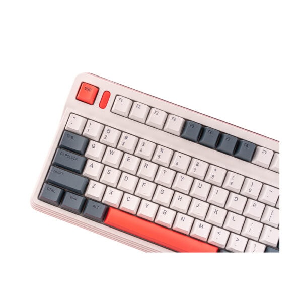 Iqunix L80 Formula Typing 80 Rgb Kablosuz Hotswap Mekanik Gaming Klavye 6