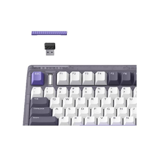 Iqunix Og80 Lavandin Rgb Kablosuz Hotswap Mekanik Gaming Klavye 5