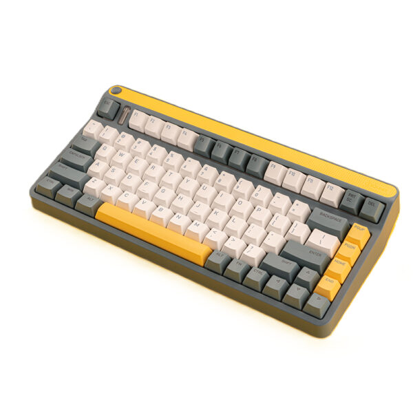 Iqunix A80 Explorer Costar Stabilizer Rgb Kablosuz Hotswap Mekanik Gaming Klavye 2