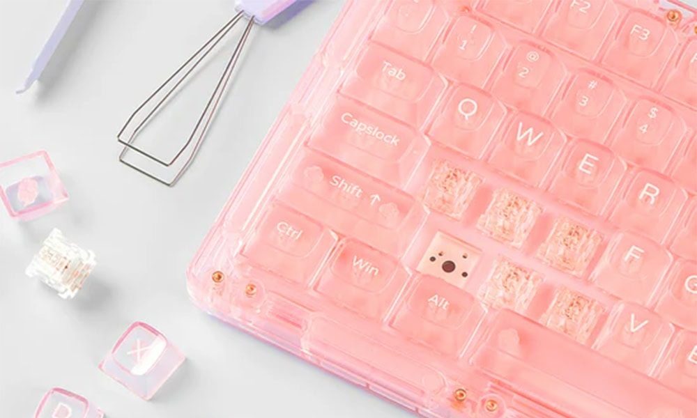 Tamamen Yarı Saydam PMMA Gövde