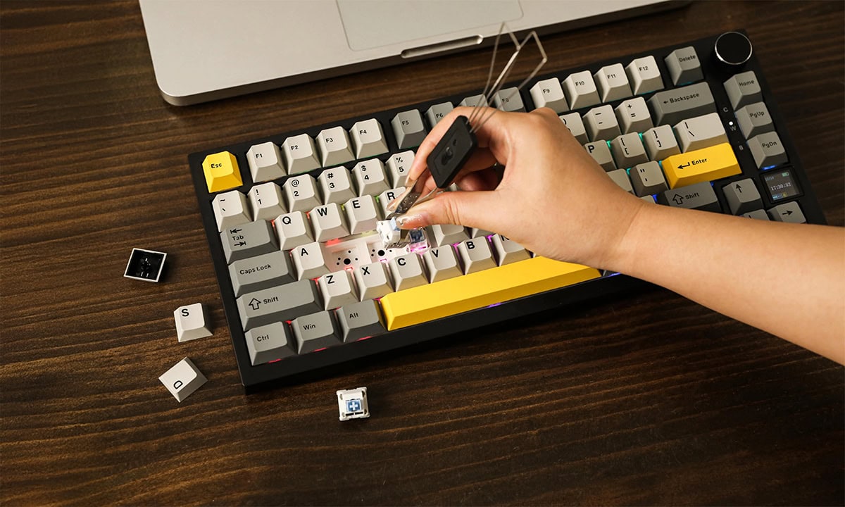 Kablosuz ve Kablolu Bağlantı