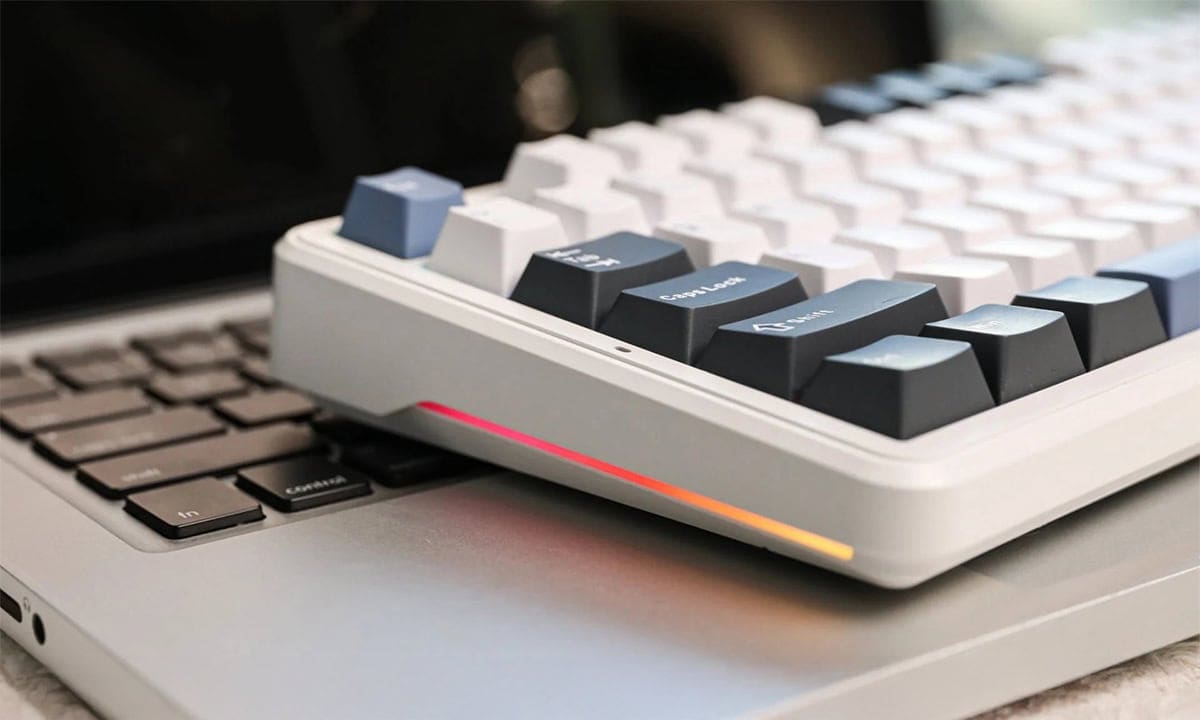 Canlı RGB ve Monokrom Seçenekleri