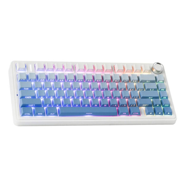 Epomaker X Aula F75 Mavi Leobog Reaper Switch Rgb Kablosuz Hotswap Mekanik Gaming Klavye 3