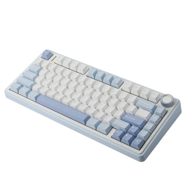 Epomaker X Aula F75 Sea Salt Blue Leobog Greywood V3 Switch Rgb Kablosuz Hotswap Mekanik Gaming Klavye 3