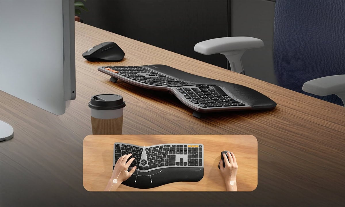 Tam Boy, Kavisli, Bölmeli Tasarım