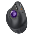 ProtoArc EM05 NL Mor Trackball Kablosuz Ergonomik Dikey Mouse (CP015533)