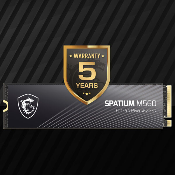MSI SPATIUM M560 1TB M.2 SSD H9