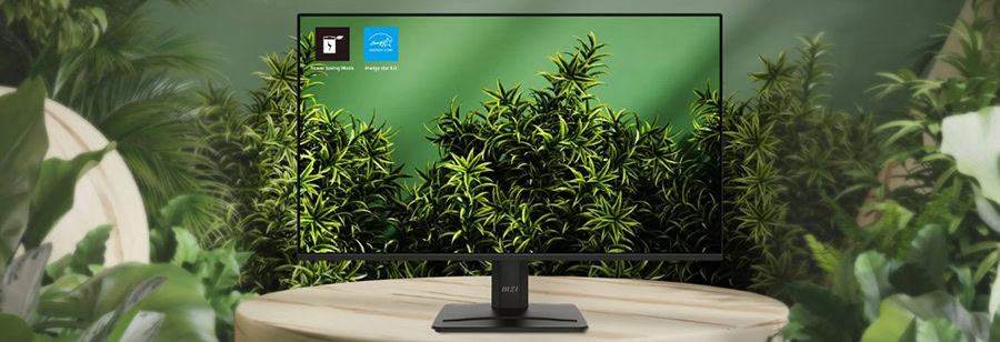 MSI PRO MP252 E2 Gaming Monitör H17