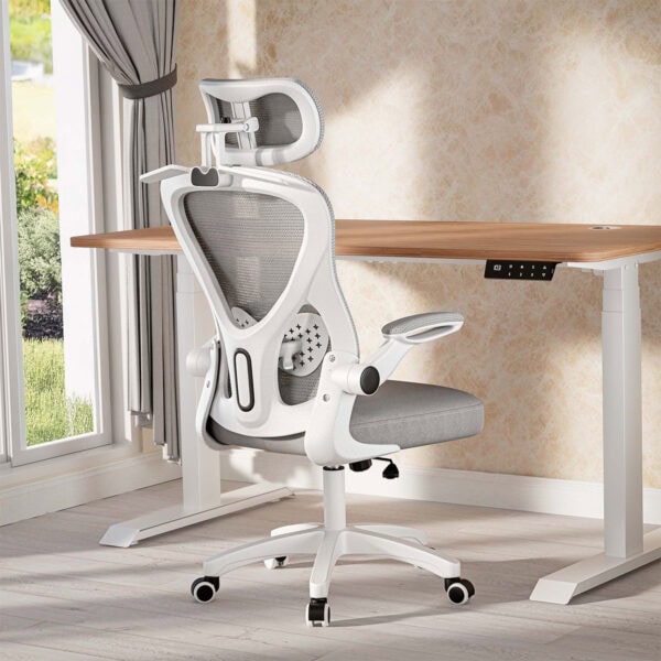 Yüksek konforlu ofis çalışma sandalyesi ve büyüyen çalışma masası, modern ofis ortamı için ergonomik tasarım, doğal gün ışığı ile parlak çalışma alanı, laptop kullanımı için ideal.