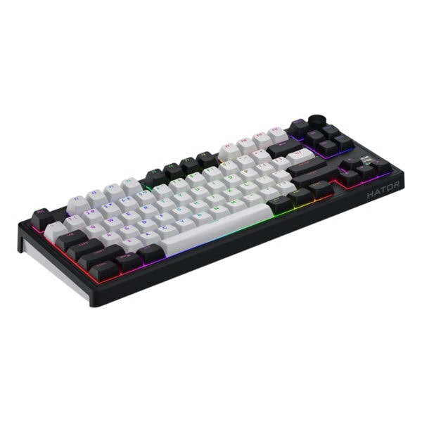 RGB aydınlatmalı oyun klavyesi, kompakt ve şık tasarım, yüksek performans ve dayanıklılık ile üstün yazma deneyimi sağlar. Çok renkli LED ışıklandırma ve ergonomik tuş yapısıyla öne çıkar.