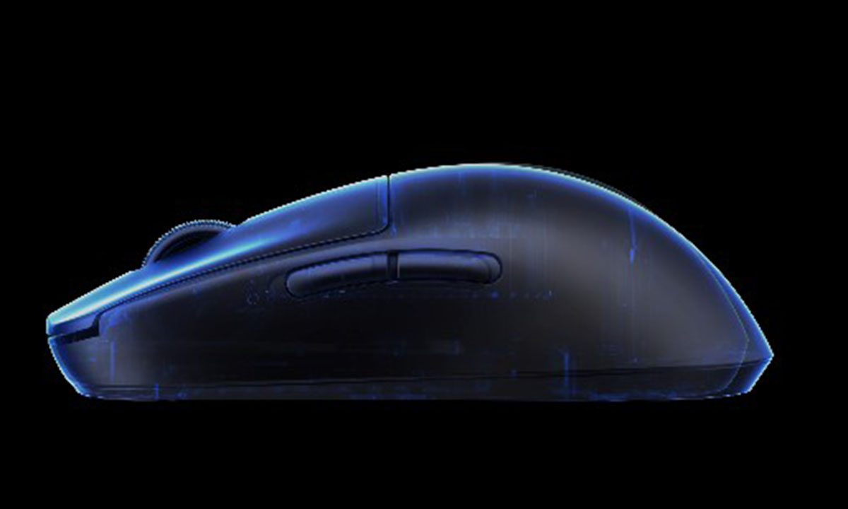 Kambur Karşılaştırması