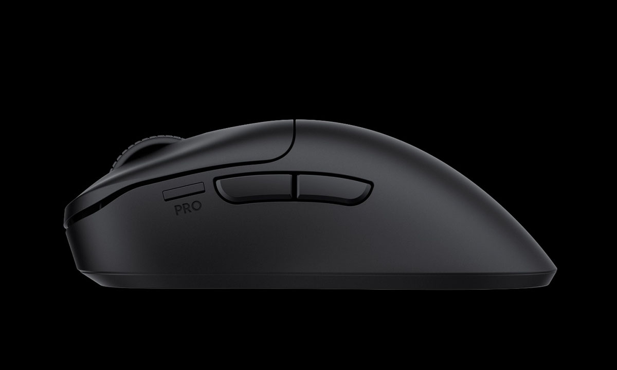 Kambur Karşılaştırması