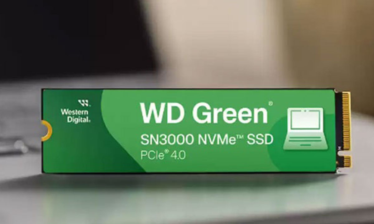 PC’nizin depolama performansını WD Green SN3000 NVMe SSD ile güçlendirin