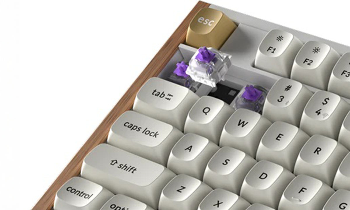 Keychron K10 HE Special Edition Beyaz Gaming Klavye H17