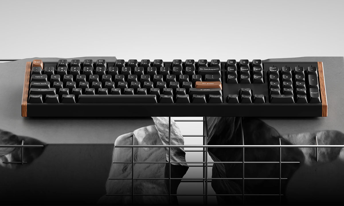 Özel Sürüm ve Standart Sürüm