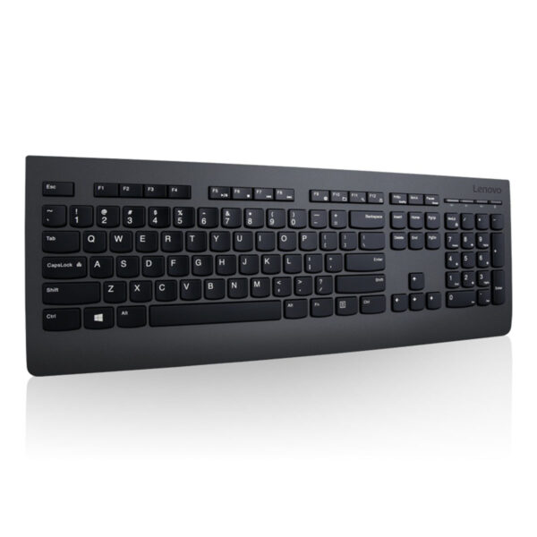 Lenovo Profesyonel Kablosuz Kombo Türkçe Klavye Ve Mouse Seti (4x30h56827)2