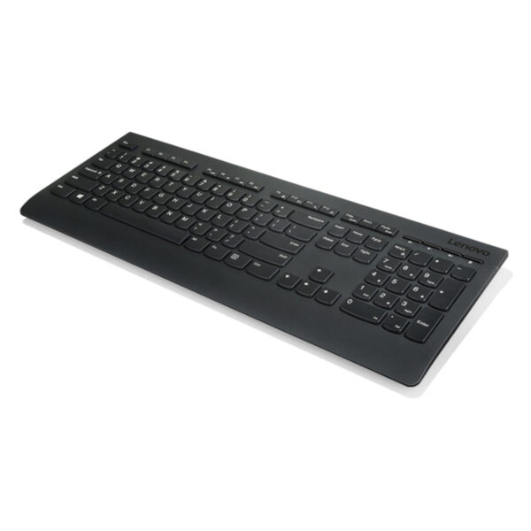 Lenovo Profesyonel Kablosuz Kombo Türkçe Klavye Ve Mouse Seti (4x30h56827)3