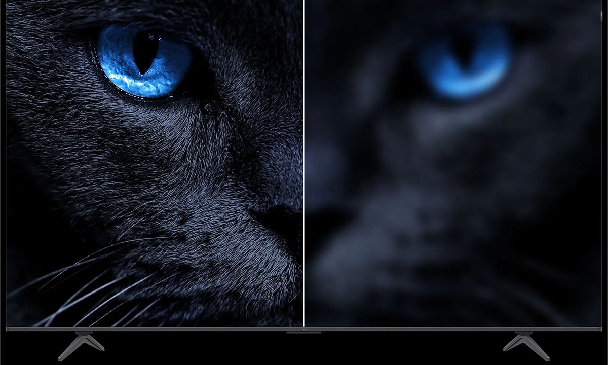 Yüksek çözünürlüklü TV ekranında, parlak mavi gözleriyle dikkat çeken kara kedinin yakın çekim görüntüsü.