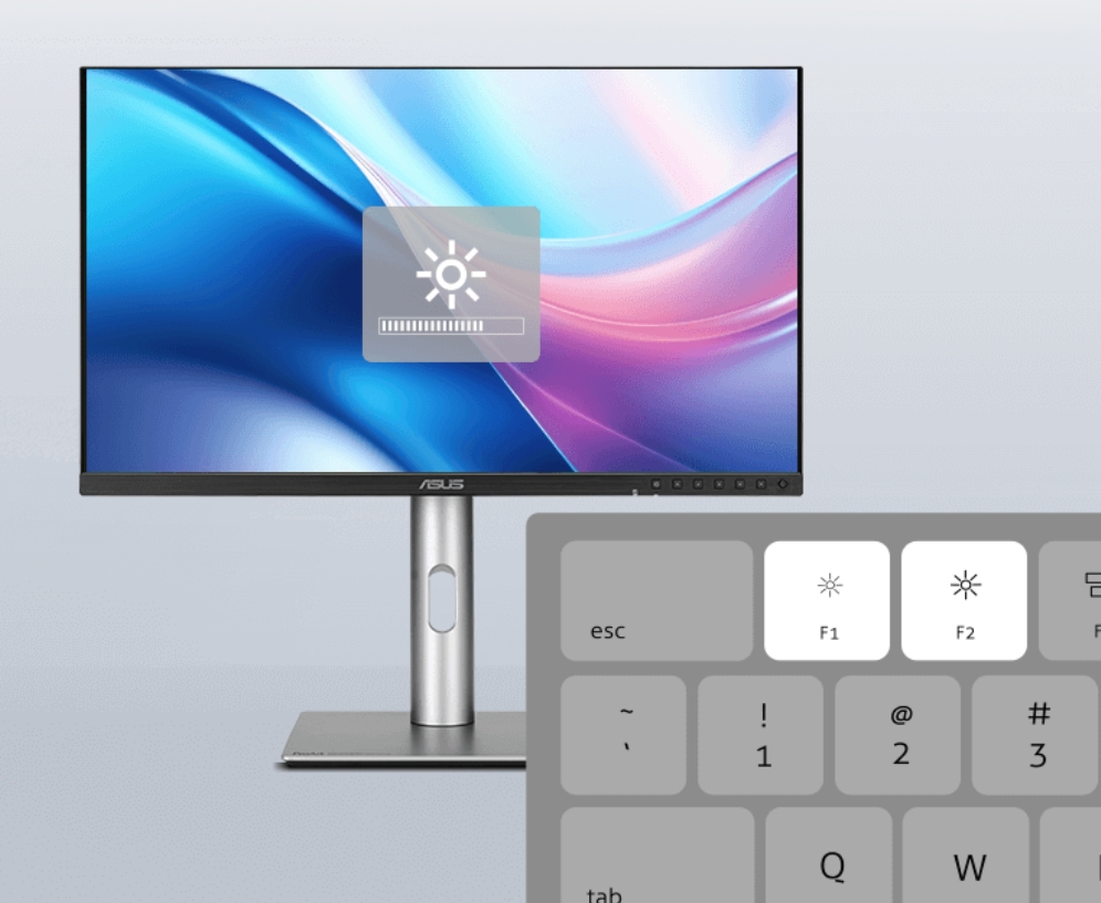 ProArt Display OLED PA32UCDMR-K