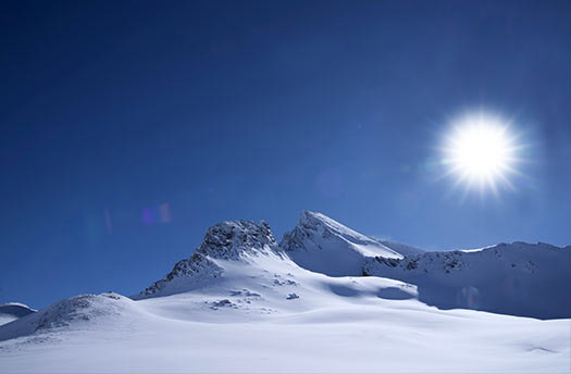 ASUS ProArt OLED PA32DC 31.5 inç 4K UHD OLED Monitör.