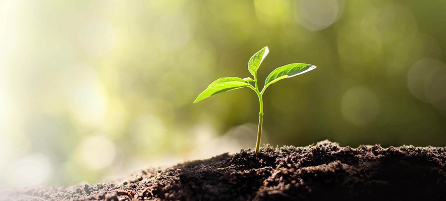 MSI PRO MP275QPDG 27 inç 100Hz 1ms 2K WQHD Adaptive Sync IPS Monitör h25