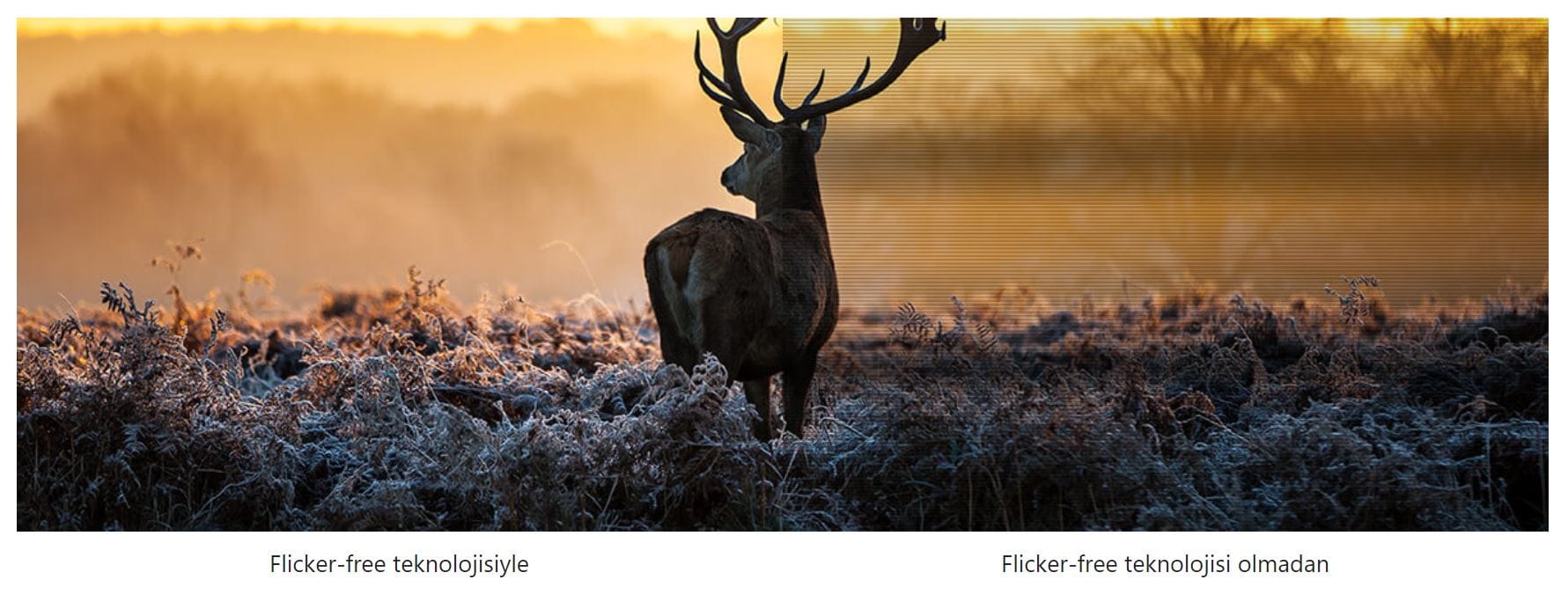 ASUS ProArt PA24AC 24.1 inç IPS Full HD monitör, profesyonel grafik ve tasarım çalışmaları için ideal yüksek renk doğruluğu ve geniş görüş açısı sunar.