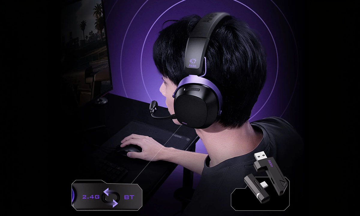 Çıkarılabilir Çift Portlu Alıcı Ultra-düşük gecikme