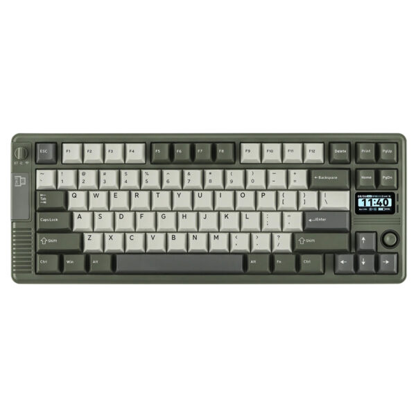 EPOMAKER RT85 yeşil ve beyaz renkli Wisteria V2 switch'li, hotswap özellikli RGB kablosuz mekanik oyun klavyesi. Yüksek performans ve şık tasarım ile oyun deneyimini artırır.