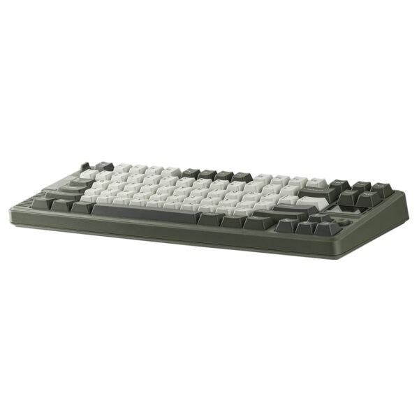 EPOMAKER RT85 Green White Wisteria V2 renkli mekanik gaming klavye, RGB aydınlatma ve hotswap switch özellikleriyle öne çıkar. Kablosuz kullanım imkanıyla yüksek performans sağlar.