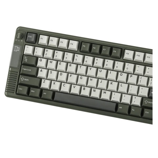 EPOMAKER RT85 Green White Wisteria V2 Switch ile RGB aydınlatmalı kablosuz mekanik gaming klavye, yüksek performans ve şık tasarım.