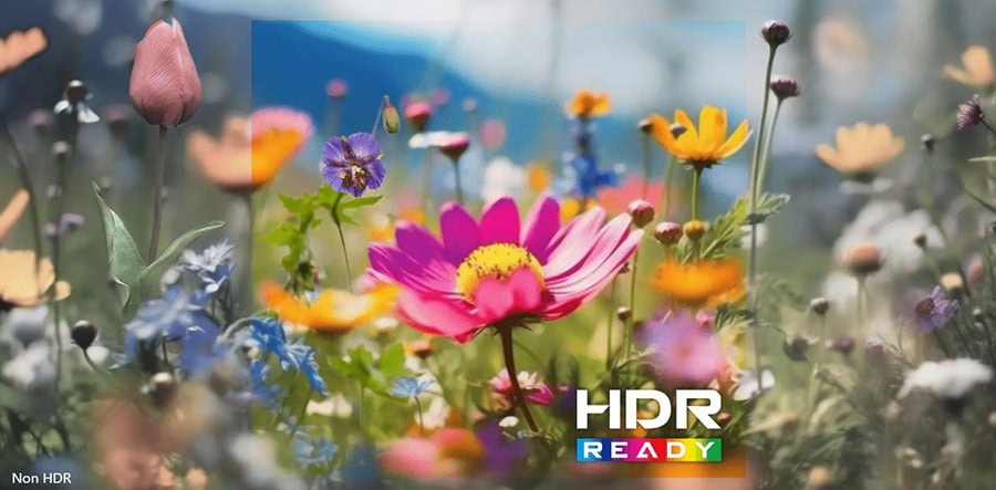 Çiçeklerle dolu renkli bahar çiçekleri, canlı renkler ve detaylar, HDR Ready etiketi ile yüksek kalite ve canlılık vurgulanmış. Doğa ve bahar teması, görsel çekicilik ve renk zenginliği ön plana çıkıy.