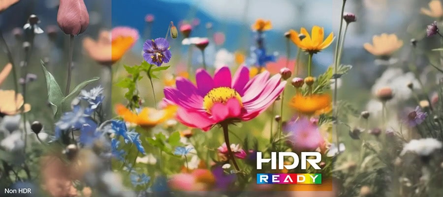 Yüksek çözünürlüklü, renkli çiçekler ve doğa manzarası ile HDR Ready etiketi, canlı ve detaylı görüntü sunar.