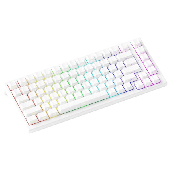 RGB aydınlatmalı kablosuz bilgisayar klavyesi, şık ve modern tasarımıyla masaüstü ve oyun bilgisayarları için ideal. Çok renkli arka aydınlatma ve rahat tuş yapısıyla kullanımı kolayd.