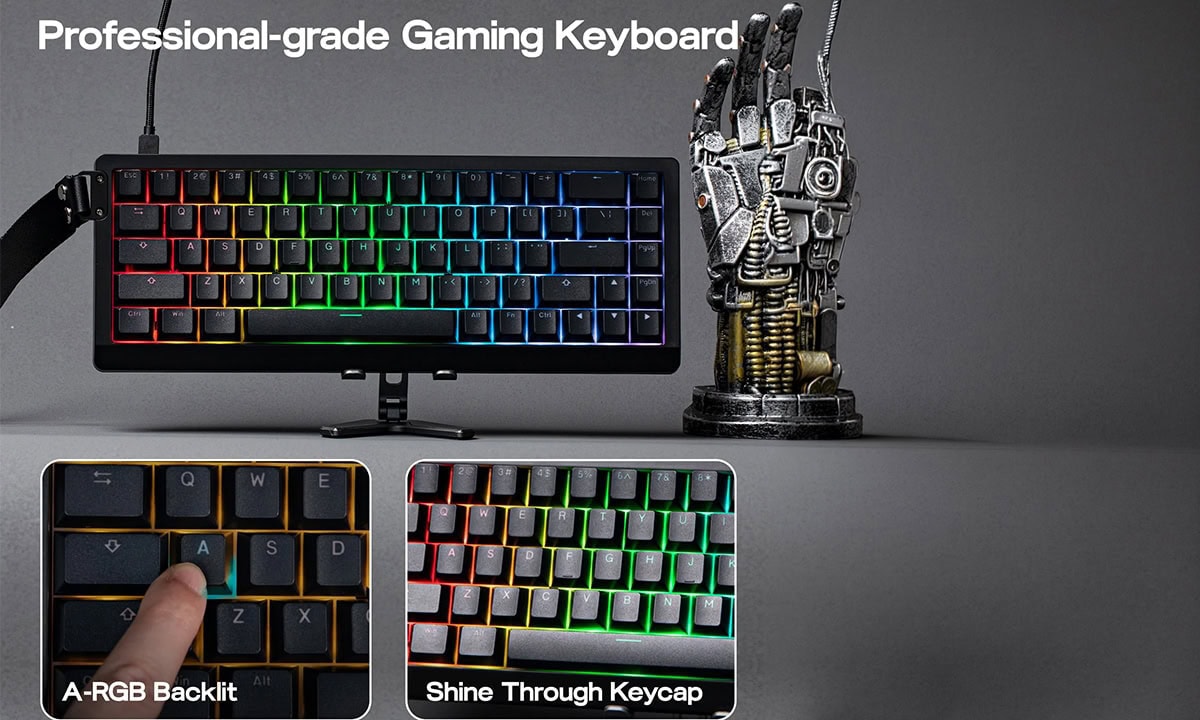 Özel A-RGB Özellikli Işık Geçirgen Arka Işık